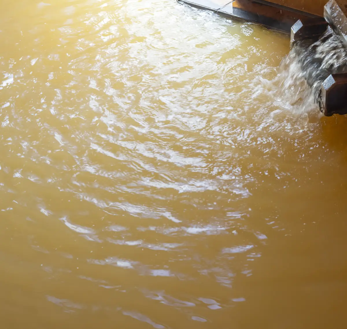 Experience the Restorative Waters of Arima's Golden Spring.