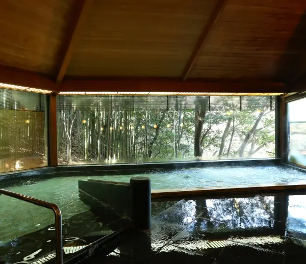 Experience the Restorative Waters of Arima's Golden Spring.