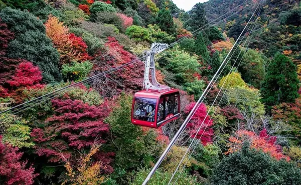 Rokko Arima Ropeway
