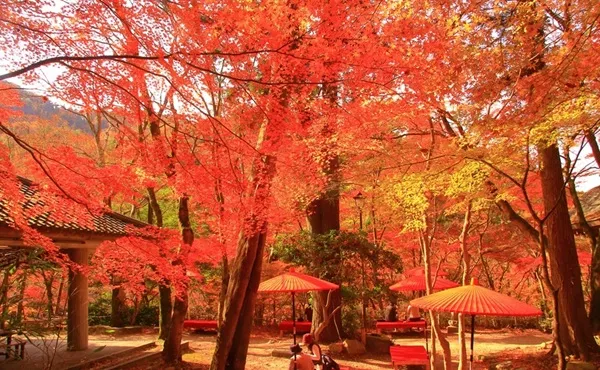 Zuihoji Park